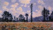 Claude Monet Field of Poppies Germany oil painting artist
